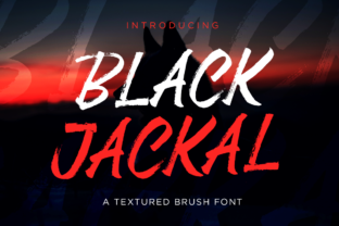 Black Jackal: Playful, Urban, and Full of Personality
